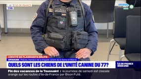 Brigade cynophile de la Seine-et-Marne: comment se passe la relation avec le chien?