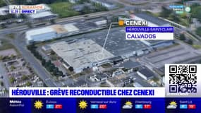 Calvados: grève reconductible chez le sous-traitant pharmaceutique Cenexi