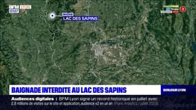Rhône: la baignade interdite depuis mercredi au lac des sapins en raison de la présence de cyanobactéries