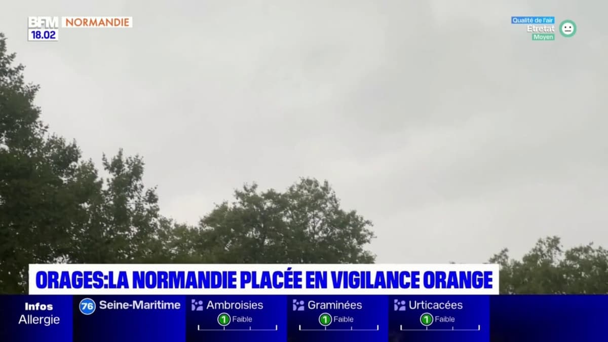 placeholder video