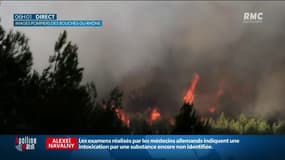 Incendie dans les Bouches-du-Rhône: 500 hectares de végétation détruits en quelques heures