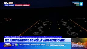 Vaux-le-Vicomte: "5km de guirlandes lumineuses" pour les illuminations de Noël