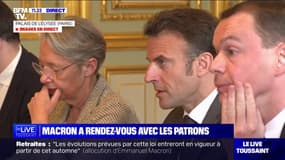 Emmanuel Macron: "Il nous faut continuer d'avancer"