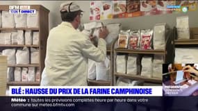 Blé: hausse du prix de la fraine camphinoise