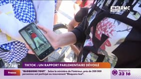 TikTok : un rapport parlementaire dévoilé