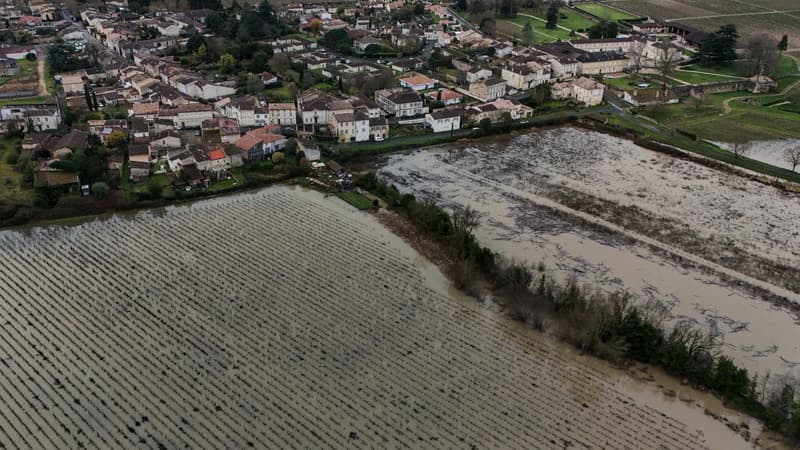 "Sauver ce que l'on peut": l'angoisse des agriculteurs face aux dégâts des crues et des inondations