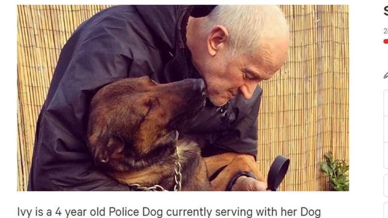 David Evans avec sa chienne Ivy.