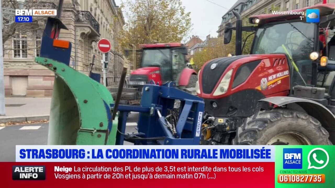 Strasbourg: la Coordination rurale à son tour mobilisée contre les accords avec le Mercosur