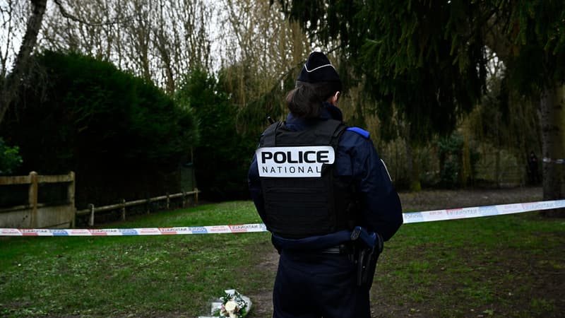 Une policière en surveillance dans un bois de Longjumeau (Essonne) où le corps d'une collégienne de 11 ans, a été retrouvé le 8 février 2025