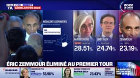 Éric Zemmour: "Les résultats ne sont pas à la hauteur de nos attentes mais nous venons de poser un drapeau dans chaque circonscription de France"