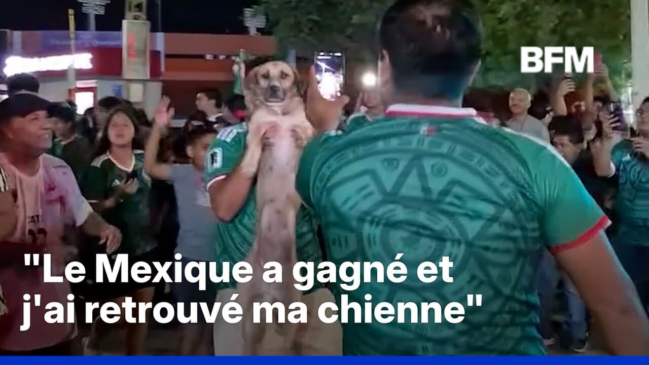 Mondial: une femme retrouve sa chienne grâce à une vidéo des célébrations de la victoire du Mexique