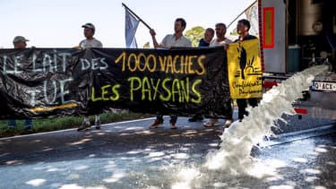 La Ferme des Mille vaches en compte actuellement 800.