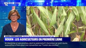 Rouen: les agriculteurs en première ligne (2/2) - 28/09