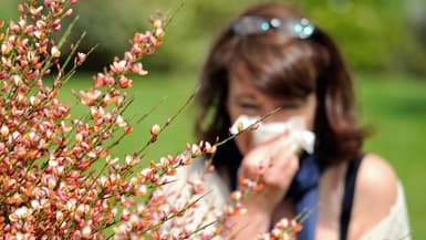 Allergie aux pollens (photo d'illustration)