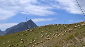 Les bassins versants de montagne en Isère sont placés en niveau d'alerte maximum à cause de la sécheresse. (Illustration)