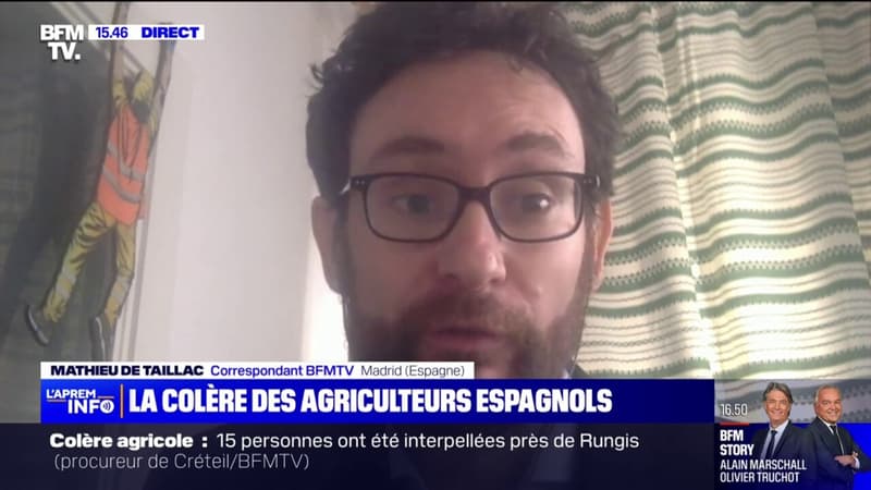 Quelles sont les revendications des agriculteurs espagnols, qui appellent aussi à des journées d'actions?