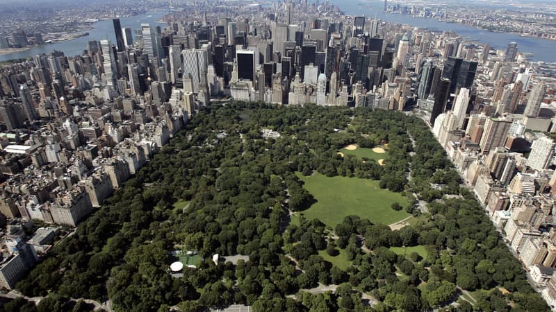 Un ourson a été retrouvé mort lundi à Central Park, le plus grand parc de New York.