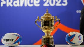 Le trophée William Webb Ellis remis au vainqueur de la Coupe du monde. 