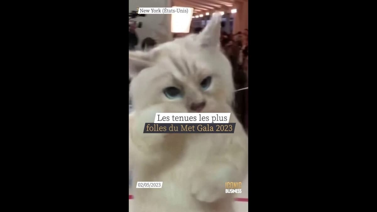 placeholder video