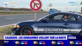 Calvados: les gendarmes veillent sur les routes contre la mort au volant