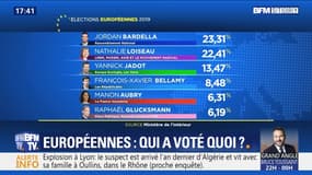 Élections européennes: qui a voté quoi ?