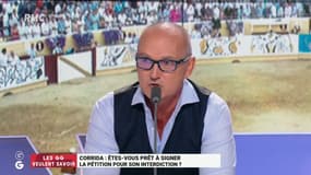 "On élève des bêtes en liberté pour qu'elles puissent faire ce pourquoi elles ont été élevées": le plaidoyer de Jérôme Marty pour la corrida