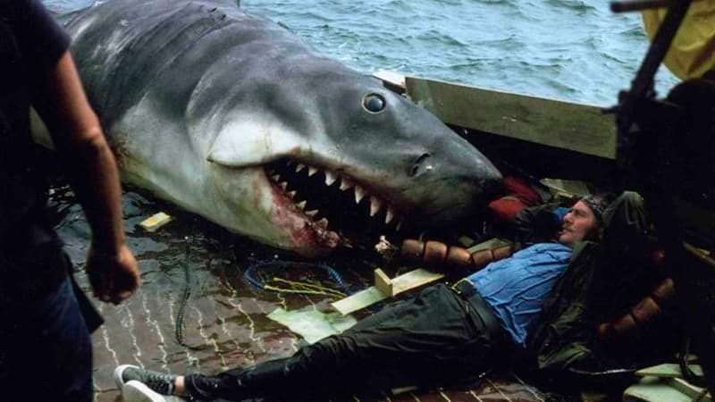 Photo prise sur le tournage des "Dents de la mer" sur l'île de Martha Vineyard en 1974. Du 9 au 12 août, entre 5.000 et 10.000 visiteurs sont attendus sur cette île située au large des côtes du Massachusetts à l'occasion du "Jawfest", un festival consacré