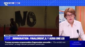 Annie Genevard, secrétaire générale des Républicains, sur la loi immigration: "Davantage de fermeté permettra une meilleure intégration"