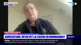 Agriculture: la FRSEA de Normandie "a vraiment besoin d'un calendrier"
