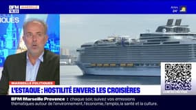Croisières à Marseille: une industrie "toxique" pour l'adjoint au maire Sébastien Barles