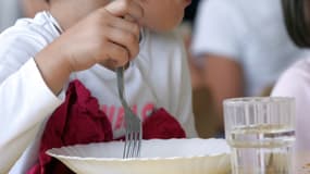 Les quantités de viande et de poisson proposées aux enfants excèdent les recommandations de l'Anses, selon Greenpeace. (Photo d'illustration)