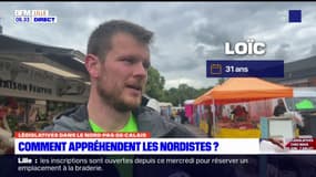 Nord-Pas-de-Calais: comment les Nordistes appréhendent les élections législatives?