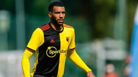 Etienne Capoue (Watford)