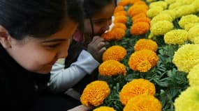 Des petites filles saoudiennes sentent des fleurs, le 20 mars 2007, à Riyad. (photo d'illustration)