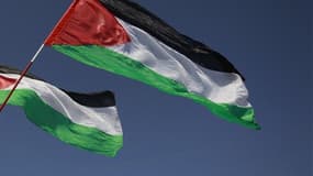 Un drapeau de la Palestine. 