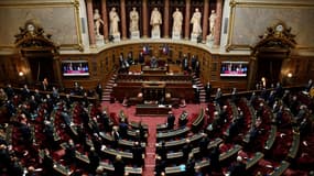 Le Sénat se penche dès mercredi sur les budgets de l'Etat et de la Sécurité sociale en commission, avec une occasion unique de peser dans les débats tout en soutenant le gouvernement de Michel Barnier