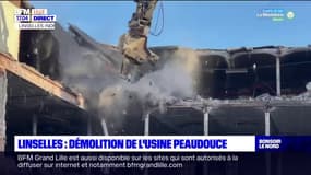 Nord: démolition de l'usine Peaudouce à Linselles