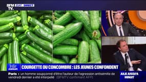 Courgette ou concombre : les jeunes confondent - 06/03