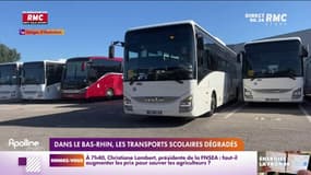 Rentrée : dans le Bas-Rhin, les transports scolaires dégradés