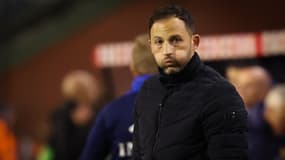 Domenico Tedesco lors du match Belgique-France (1-2, Ligue des Nations), le 14 octobre 2024