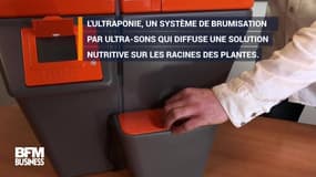 Cette jardinière fait pousser les plantes grâce aux ultra-sons