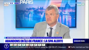 Ile-de-France: la SPA alerte sur les abandons durant l'été