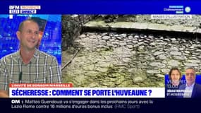 Sécheresse: malgré les pluies, les nappes phréatiques ne se rechargent pas dans les Bouches-du-Rhône