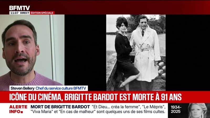 Steven Bellery, chef du service culture de BFMTV raconte les coulisses de son interview de Brigitte Bardot