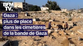  Gaza : "Ça fait presque 28 ans que je suis fossoyeur, mais je n'ai jamais vu autant de morts" 