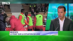 Qu’attend Ali Bernabia de Marcelo Bielsa au LOSC