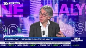 Idée de placements : Assurance-vie, les fonds euros sont-ils morts ? - 11/04