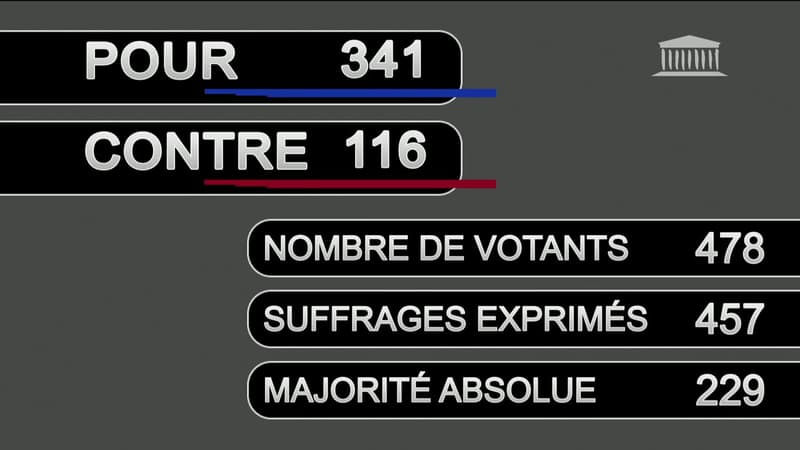 Le résultat du vote sur le projet de loi pouvoir d'achat