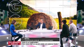 Tous à la campagne ! Etes-vous prêts à aller aider les agriculteurs - 25/03