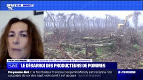 Pascale Hebel, spécialiste de la consommation, sur la colère des producteurs de pommes : "Il y a un problème de santé publique si on augmente trop le prix des fruits et légumes"